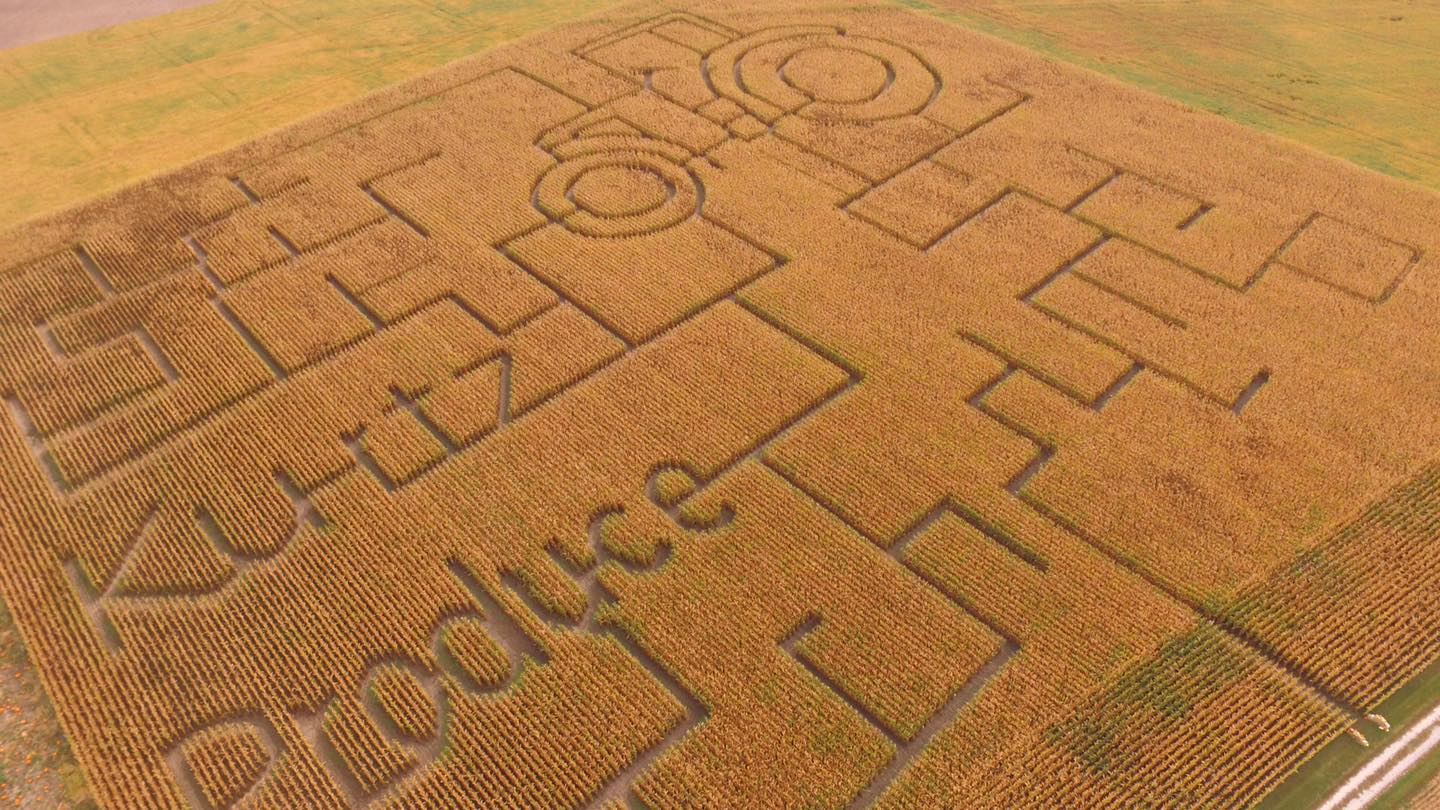 Kurtz Produce Corn Maze