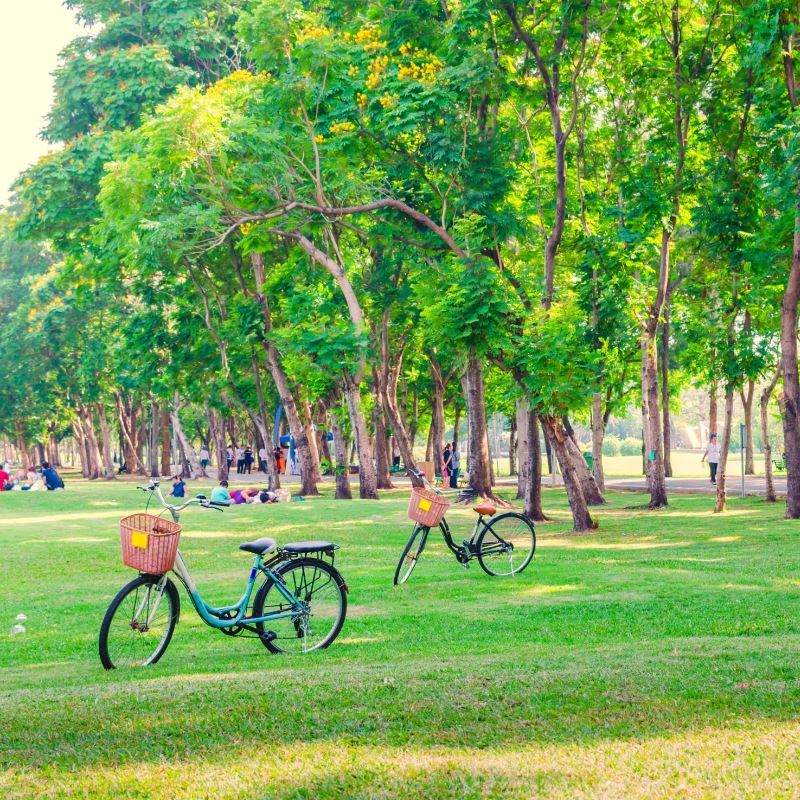 Park with Bikes Parked