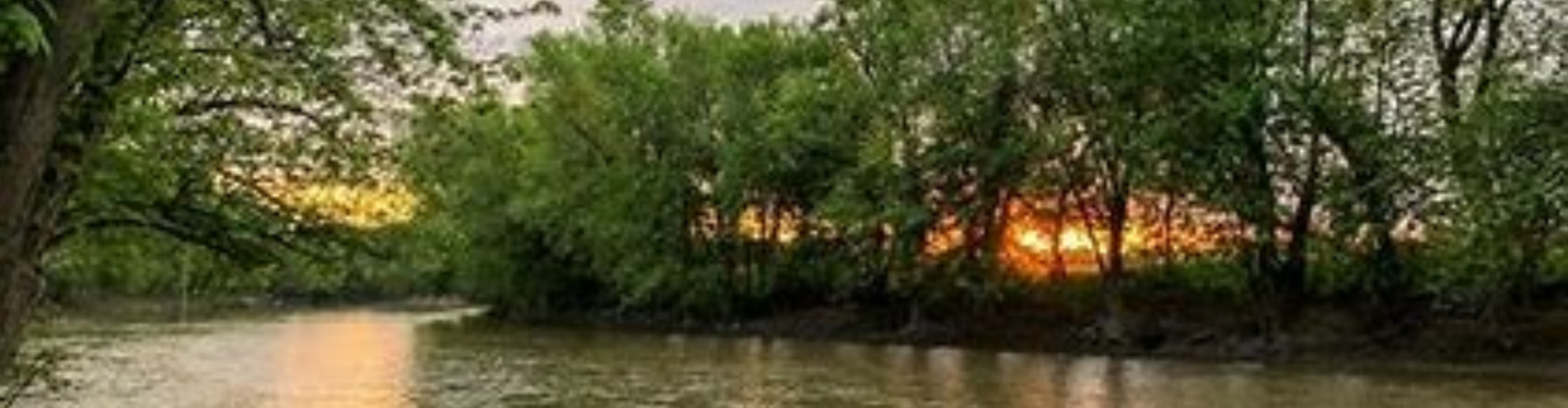 Tour New Haven: Principal Travel